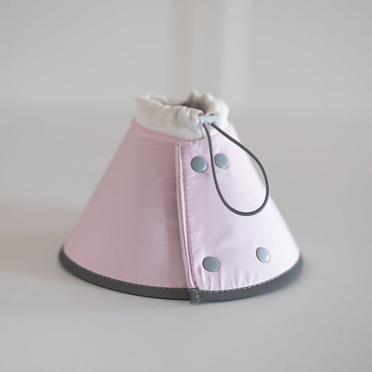 Collar Fashionable Impermeable para Mascotas - Image 3