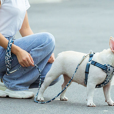 Cuerda de Paseo Floral para Perros con Asas de Mano