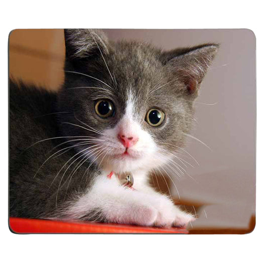 Tapete para Ratón con Diseño Gato Divertido - Image 18