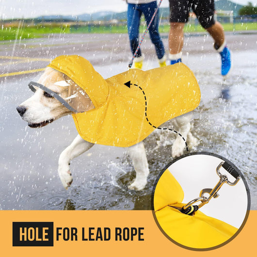 Impermeable para Perros Pequeños con Capucha Transparente - Image 27