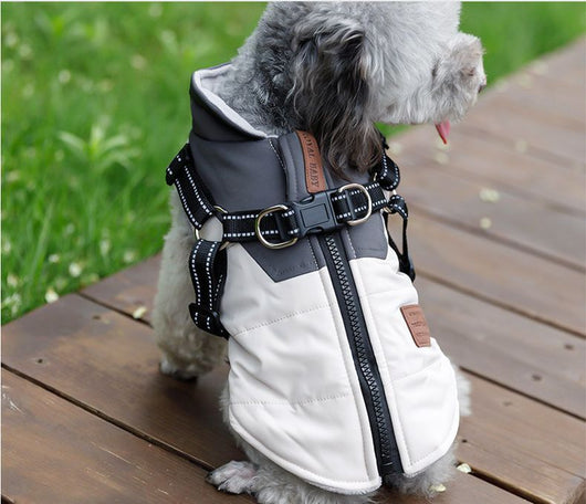 Chaleco de Invierno con Arnés de Remolque para Perros - Image 8