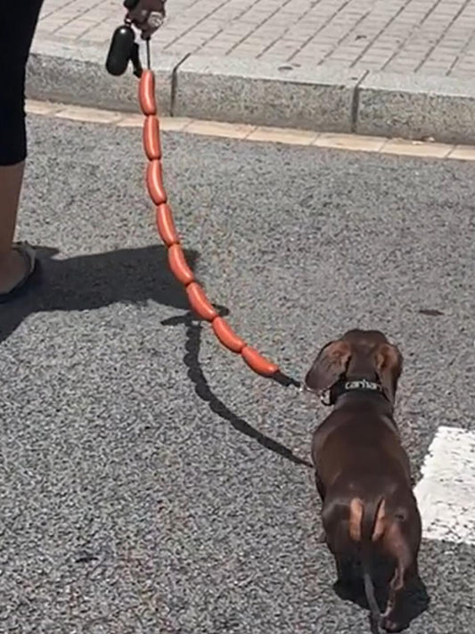 Correa de Tracción Gruesa para Perros Pequeños y Medianos - Diseño Divertido tipo Salchicha