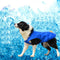 Chaleco Refrigerante para Perros - Protección Solar y Control de Temperatura