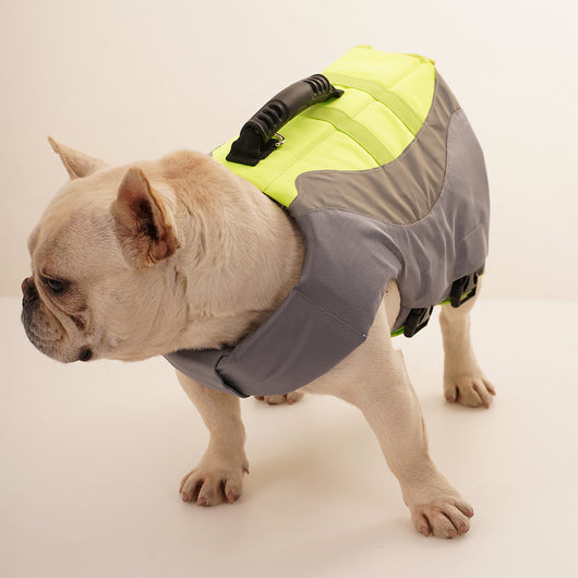 Chaleco Salvavidas Reflectante para Perros con Diseño de Traje de Baño - Image 4