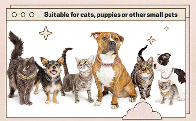 Collar de Cristal para Mascotas - Cadena Metálica Elegante para Perros y Gatos - Image 17