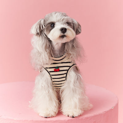 Chaleco sin Mangas Schnauzer Teddy Bichón a Rayas Cerezo - Image 3