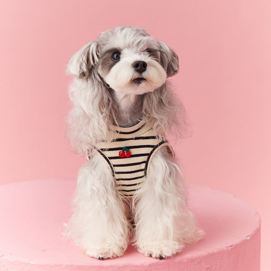 Chaleco sin Mangas Schnauzer Teddy Bichón a Rayas Cerezo - Image 3
