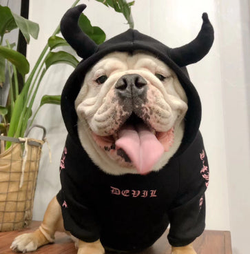 Suéter Polar Disfraz Halloween para Mascotas - Image 9