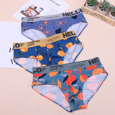 Calzoncillos Talla Grande para Niños en Algodón Premium - Image 6