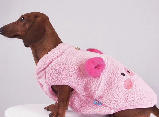 Chaleco de Lana para Mascotas - Abrigo Otoño e Invierno para Perros y Gatos - Image 11