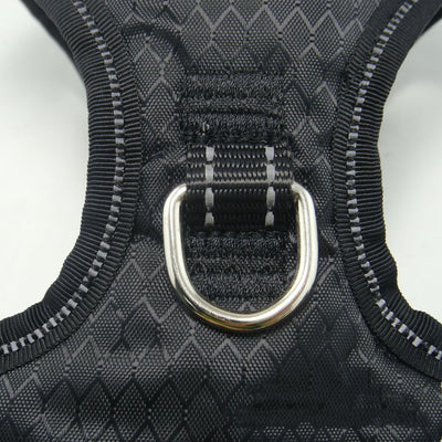 Arnés de Pecho con Correa de Mano para Cámaras y Accesorios - Image 8