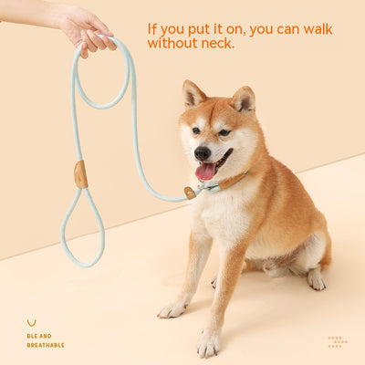 Cuerda de Tracción para Perros - Agarre Cómodo y Seguro - Image 2