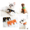 Disfraz de Murciélago y Calabaza para Mascotas - Capa Halloween
