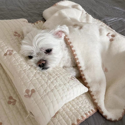 Cama Ortopédica para Perros con Funda Extraíble y Lavable - Image 7