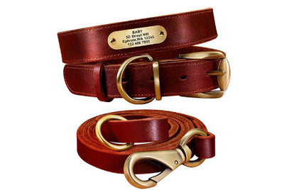 Collares Personalizados para Perros Medianos y Grandes con Placa de Identificación - Image 11