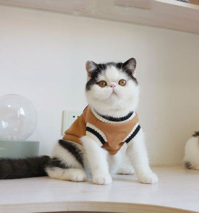 Chaleco de Punto sin Mangas Estilo Universidad Americana para Gatos - Image 10