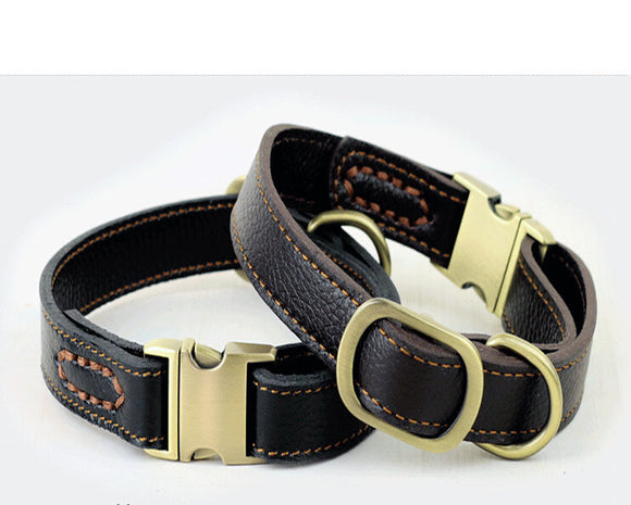 Collar de Cuero para Perros Pequeños y Medianos