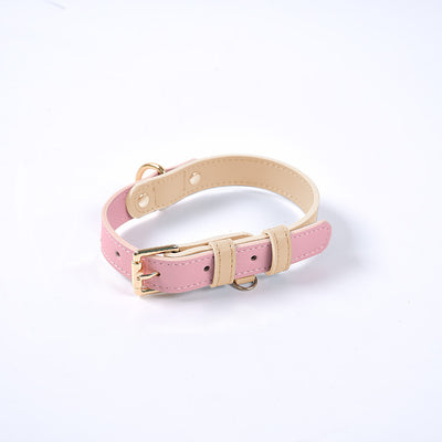 Juego de Collar y Correa para Perro en Cuero Premium - Image 8