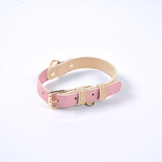 Juego de Collar y Correa para Perro en Cuero Premium - Image 8
