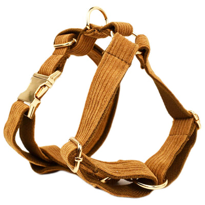 Collar de Terciopelo para Perros - Diseño Elegante y Cómodo - Image 19