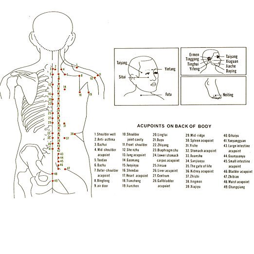 Ventosas de Silicona para Masaje y Terapia - Image 13