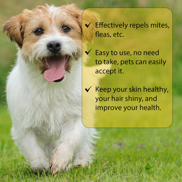 Champú Antiparasitario para Perros y Gatos - Control de Pulgas, Garrapatas y Piojos