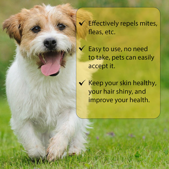 Champú Antiparasitario para Perros y Gatos - Control de Pulgas, Garrapatas y Piojos