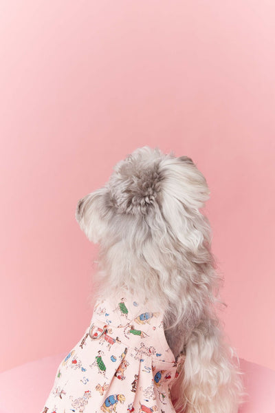Falda Denim con Tirantes para Perros Pequeños Schnauzer y Maltés - Image 30