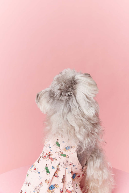 Falda Denim con Tirantes para Perros Pequeños Schnauzer y Maltés - Image 30