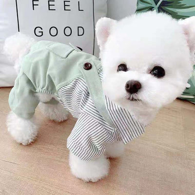 Ropa Ligera para Mascotas - Abrigo Primavera y Otoño para Perros y Gatos - Image 5