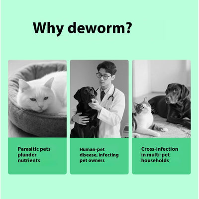 Solución Calmante para Picazón en Mascotas - Image 3