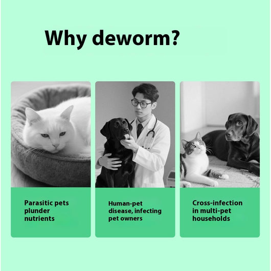 Solución Calmante para Picazón en Mascotas - Image 3