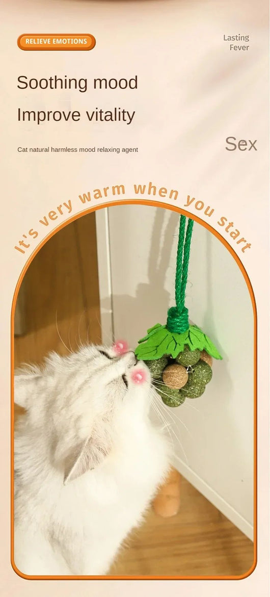 Juguetes Interactivos para Gatos con Hierba Gatera, Palitos Masticables Resistentes - Image 9