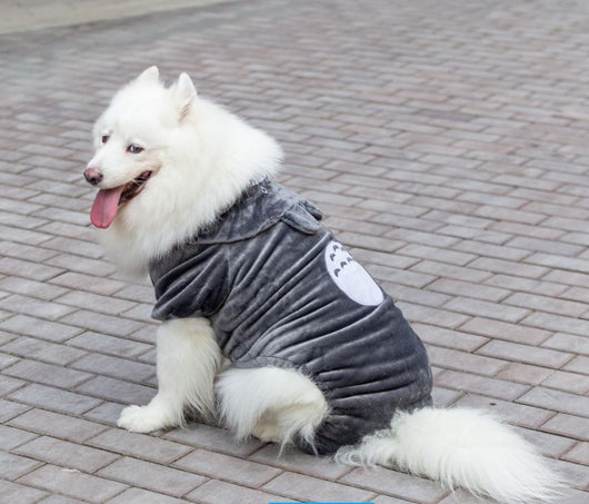 Ropa para Perros Grandes - Colección Año Completo Talla Mediana-Grande - Image 12