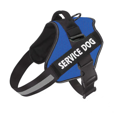 Arnés de Pecho Fashion para Perro con Correa Integrada - Image 2