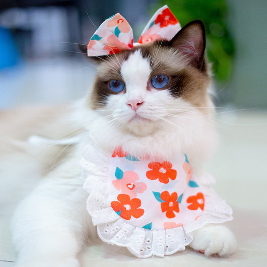 Babero Pañoleta Encaje Gato Estilo Princesa con Decoración - Image 43