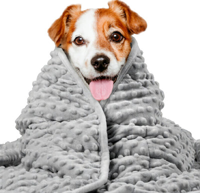 Manta Calmante para Perros con Tecnología Anti-Ansiedad - Image 8