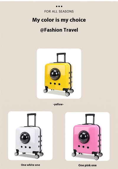 Mochila Transportín Cápsula Espacial para Gatos - Image 27