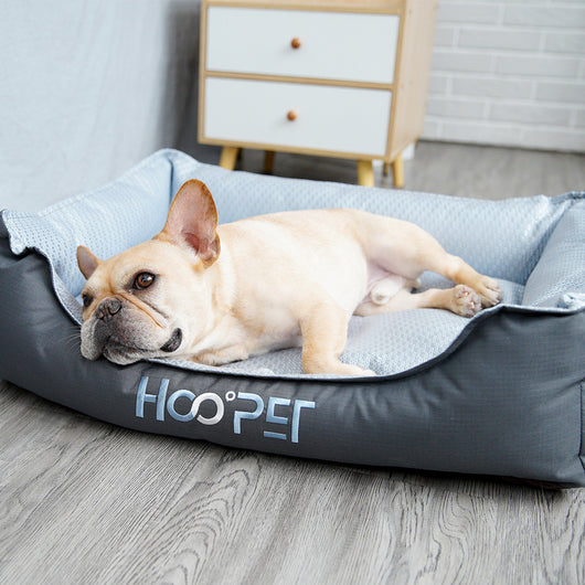 Cama Ortopédica para Perros y Gatos con Funda Removible - Nido Suave para Mascotas Pequeñas y Medianas - Image 5