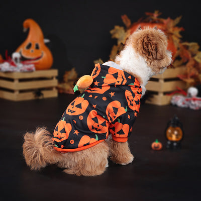 Suéter Calabaza para Perros y Gatos - Abrigo Cálido y Adorable - Image 15