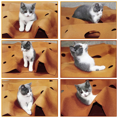 Tapete Interactivo Plegable para Gatos - Juguete Rascador Resistente a Mordidas - Image 2