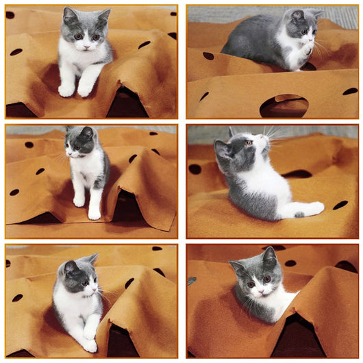 Tapete Interactivo Plegable para Gatos - Juguete Rascador Resistente a Mordidas - Image 2