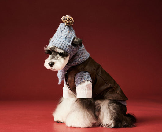 Gorro y Bufanda de Lana para Mascotas - Conjunto Abrigador para Perros - Image 9