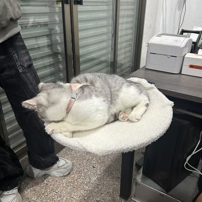 Cama Portátil para Gatos con Estructura Metálica Desmontable - Image 8