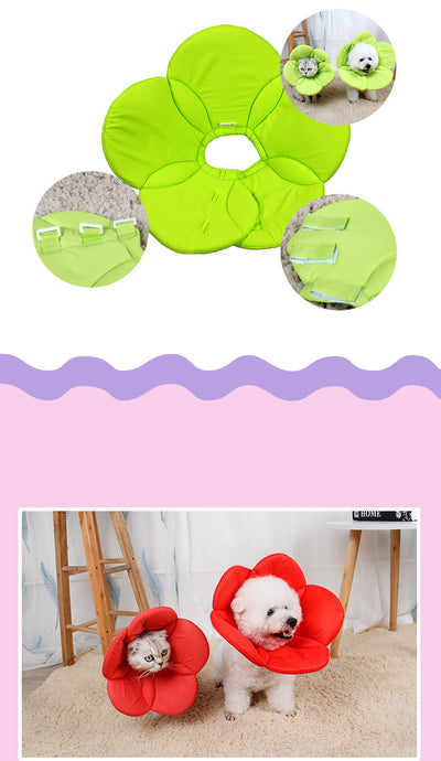 Protector Antirraspuños para Mascotas con Diseño Floral - Image 5