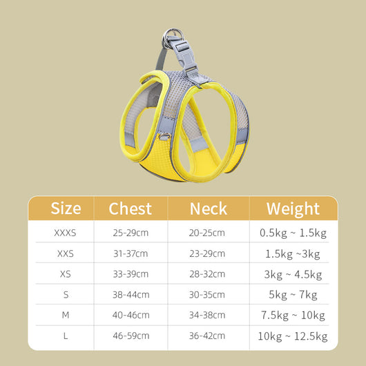 Arnés de Seguridad para Gatos con Correa Antiescapes - Image 6