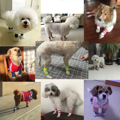 Calcetines de Compresión y Soporte para Patas de Perros y Gatos - Image 12