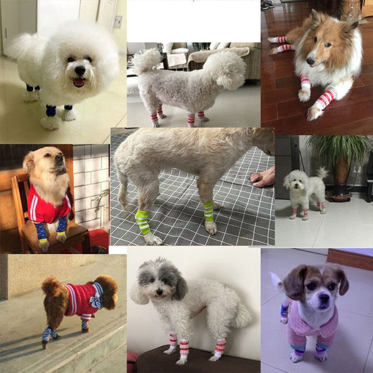Calcetines de Compresión y Soporte para Patas de Perros y Gatos - Image 12