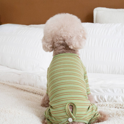 Ropa Térmica para Perros - Abrigo de Cuatro Patas - Image 10