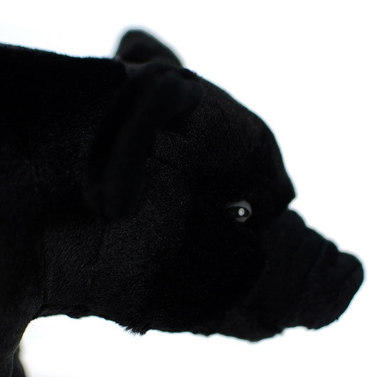 Peluche Realista de Cerdo Negro - Juguete de Simulación - Image 10